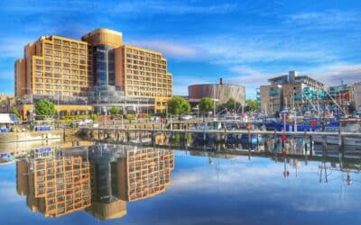Why Local-Only Marketing Is Quietly Holding Tasmanian Businesses Back (And How to Fix It)